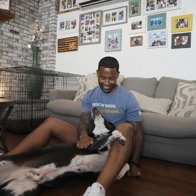 Service dogs helped ease PTSD symptoms in US military veterans, researchers say